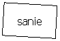 Text Box: sanie
